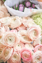 Many different colors. Showcase. Background of mix of flowers. Beautiful flowers for catalog or online store. Floral shop and delivery concept. Top view