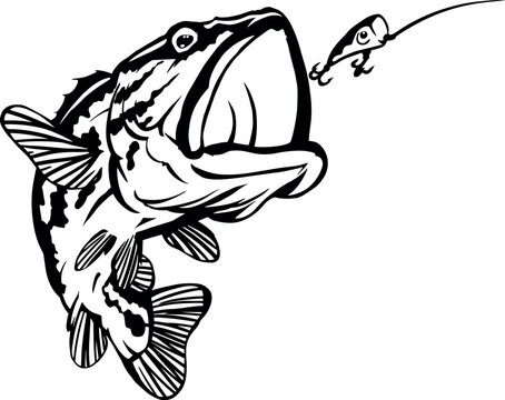 black and white fish jumping for lure clip art preview