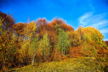 Colorful mountain landscape. Autumn in the mountains. HDR Image (High Dynamic Range).