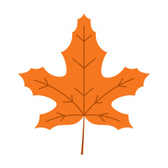 Obraz premium orange autumn maple leaf isolated on white background, cartoon simple flat style, fall element for design greeting card, thanksgiving day
