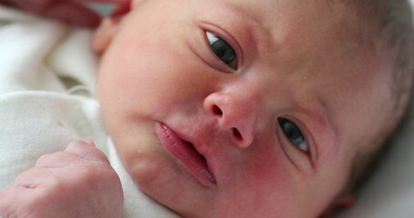 Infant newborn baby closeup face