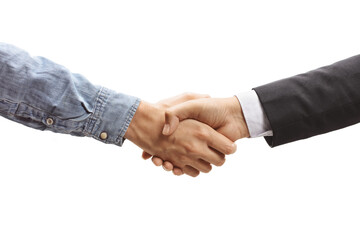 Salesman shaking hands with a customer