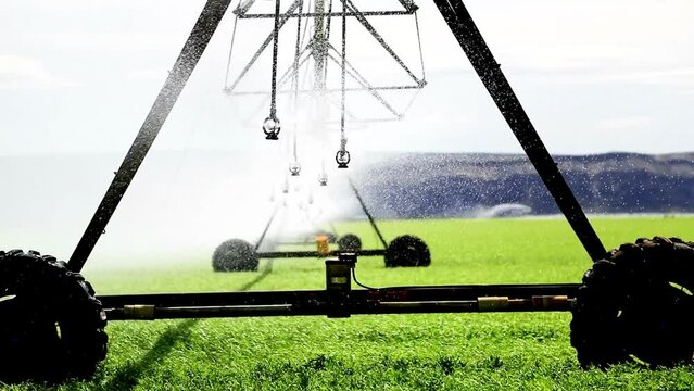 4K Video: Automatic Irrigation System in Motion