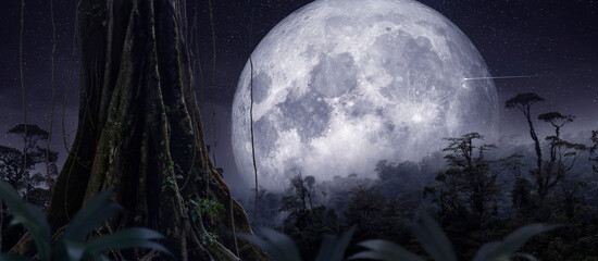 Panoramic view of the tropical jungle with a huge full moon in the background