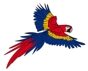 Scarlet Macaw in Flight