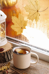 Mug of hot tea with apple and cinnamon on the autumn window. Autumn and fall cozy vertical postcard