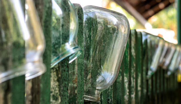 Row of empty glass jars, hanging on a green wooden fence, close-up, selective focus, limited depth of field