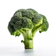 A head of broccoli on a white surface