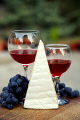 Composition with a glass of red wine, grapes and cheese. Red natural wine, cheese and a bunch of grapes in a garden in nature.