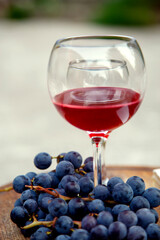 Glasses with red wine and a bunch of grapes. Composition with red wine in glasses and a bunch of grapes. side view, top view.
