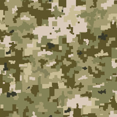 Armed forces of Ukraine. Camouflage.