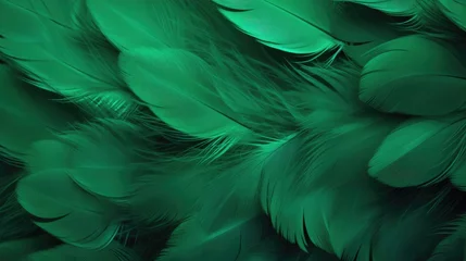 Tuinposter Beautiful abstract green feathers background, feather texture © brillianata