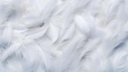White feather texture background, pastel soft fur for baby to sleep. - obrazy, fototapety, plakaty