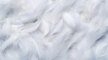 Fototapeten White feather texture background, pastel soft fur for baby to sleep. © brillianata