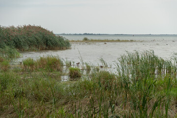 Lake of Constance on an overcast day in Bregenz in Austria