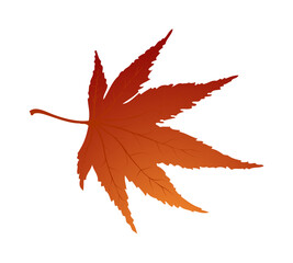 Maple Autumn Leaf