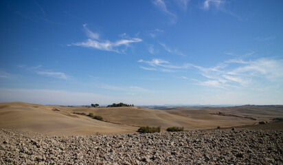 landscape in Tuscany - 664555540