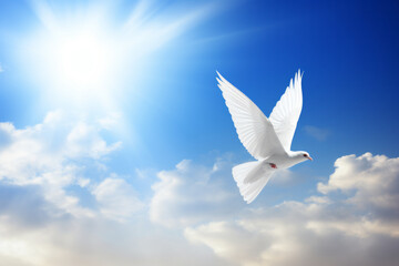A white peace dove flying against a blue sky - obrazy, fototapety, plakaty