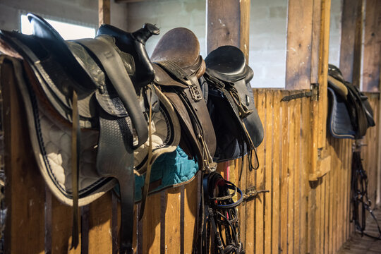 Dressage horse equipment, leather saddles and stirrups hang beautifully on a special wall