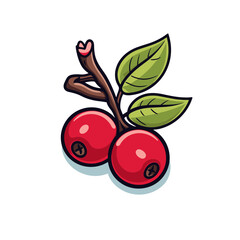 Obraz premium Isoled fruit vector cranberry in white background