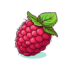Isoled fruit vector raspberry in white background
