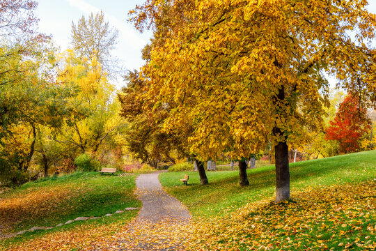 Riverside Park, Whitefish, Montana on a beautiful autumn day