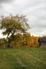 Autumn banner natural blurred background. Fall concept field defocused wallpaper. Panoramic sunset view. scenic image of picturesque rural nature in countryside in autumn.