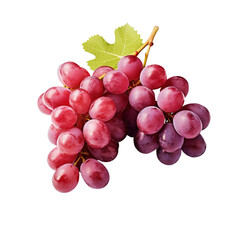 Fototapeta premium Horizontal red grape bunch with leaves and transparent or whit background