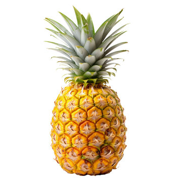 Isolated whole pineapple with transparent or white background