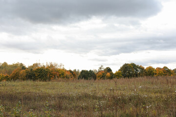 farmland, meadows and trees in autumn with golden brown leaves on the trees. scenic image of picturesque rural nature in countryside in autumn
