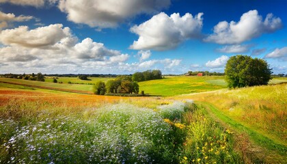 landscape with grass and blue sky