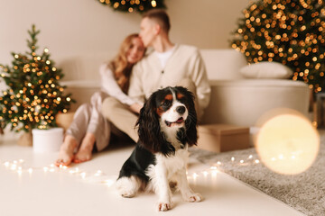 A happy couple in love play and cuddle with their pet dog in cozy room with a decorated Christmas...