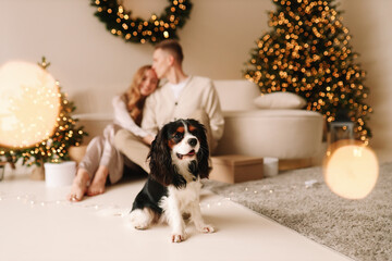 A happy couple in love play and cuddle with their pet dog in cozy room with a decorated Christmas tree and wreath on wall in Christmas holidays in December at home. Man and woman play with animal