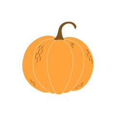 Hand drawn pumpkin. Flat vector illustration isolated on white background.