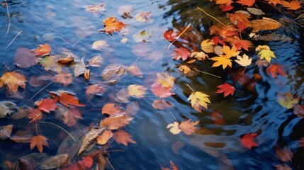 Fototapeta na wymiar Autumn leaves floating on serene pond