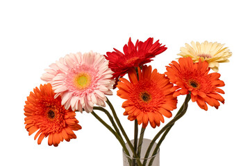 Bouquet of colorful gerbera flowers isolated on white.