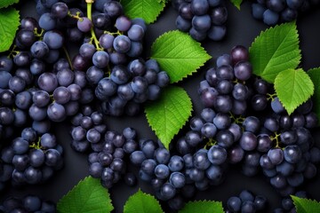 Flat lay background of vines, lots of organic blue dark grapes.