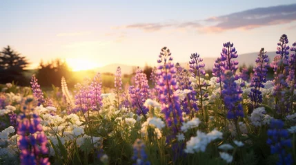 Papier Peint photo Lavable Prairie, marais a lush, wildflower meadow with a color palette of blues, purples, and whites, captured at golden hour.