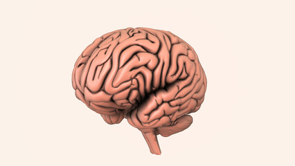 Bleeding into the brain during a hemorrhagic stroke