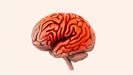 Bleeding into the brain during a hemorrhagic stroke