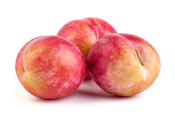 Red plum fruits, isolated on white background.