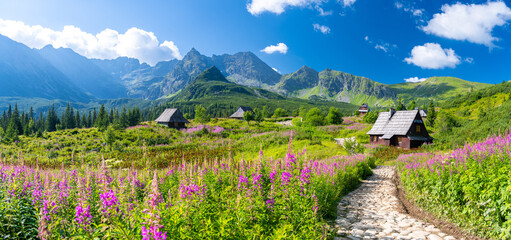 pathway through flowers meadow on hala gasienicowa in Tatra mountains in Poland