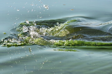 green water splashes closeup