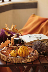 Glass of red wine on wooden table decorated with pumpkins, books and dried leaves outdoor. Autumn composition for Thanksgiving. Autumnal mood