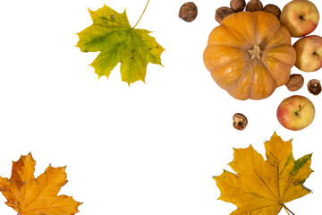 Beautiful autumn frames made of yellow maple leaves. Flat lay. PNG. Transparent background.  Fall. Halloween.