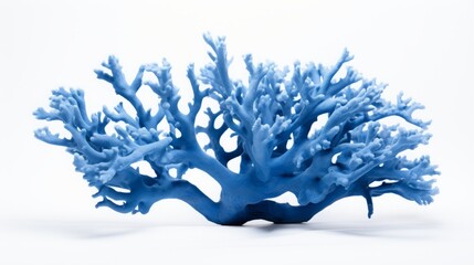 Fototapeta na wymiar blue corals on white background.