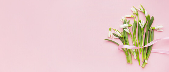 Beautiful snowdrops and ribbon on pink background with space for text