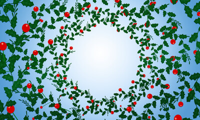 holly wreath with berries on a blue background. Christmas greeting card, wreath with winter plants 
