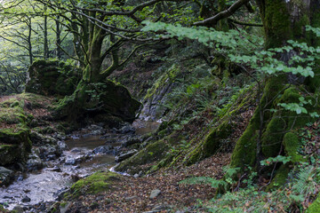 Fototapeta premium GR 35 trail Altxonbide ibilbidea, Aralar natural park, Guipuzcoa-Navarra, Spain