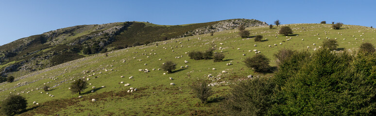GR 20 trail - Circular route to Aralar, Aralar natural park, Guipuzcoa-Navarra, Spain